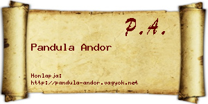 Pandula Andor névjegykártya