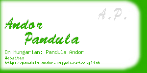 andor pandula business card